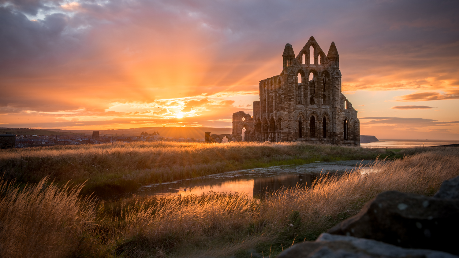 Whitby Abbey – Steve's Imagery