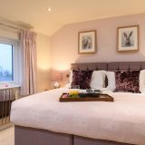The Pink Room
